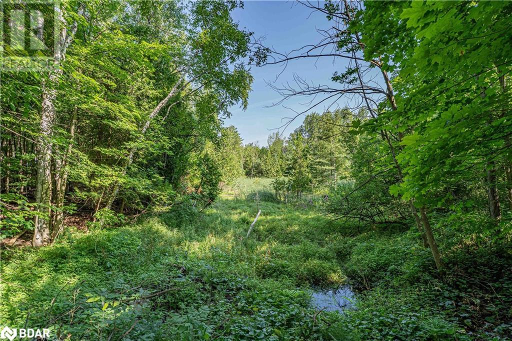 Photo 12 of 8294 County Rd 27, Barrie ON