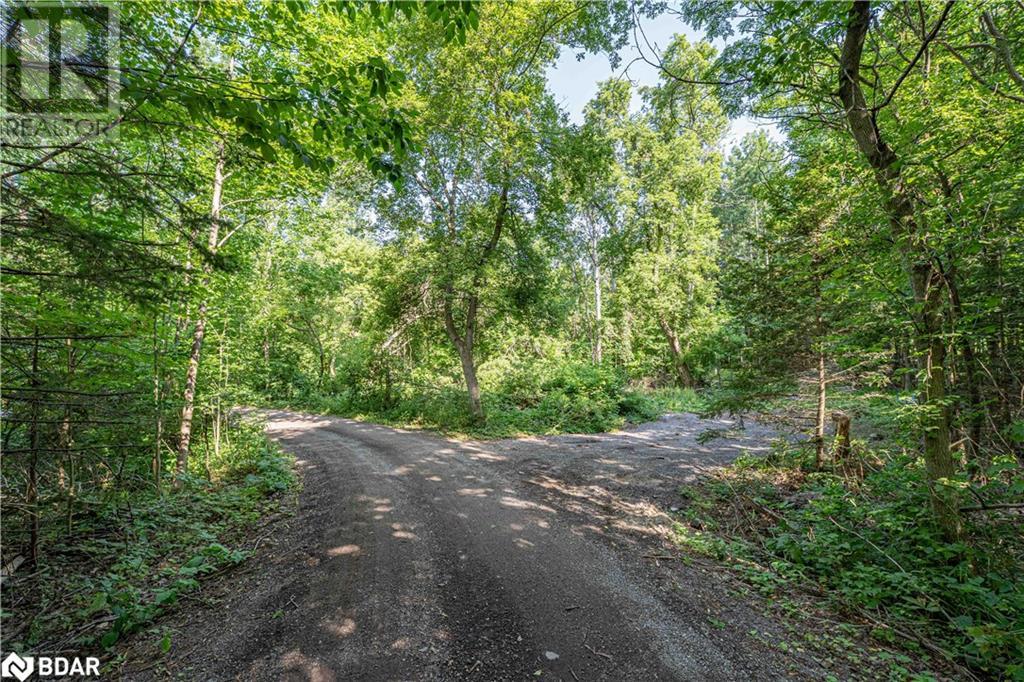 Photo 17 of 8294 County Rd 27, Barrie ON