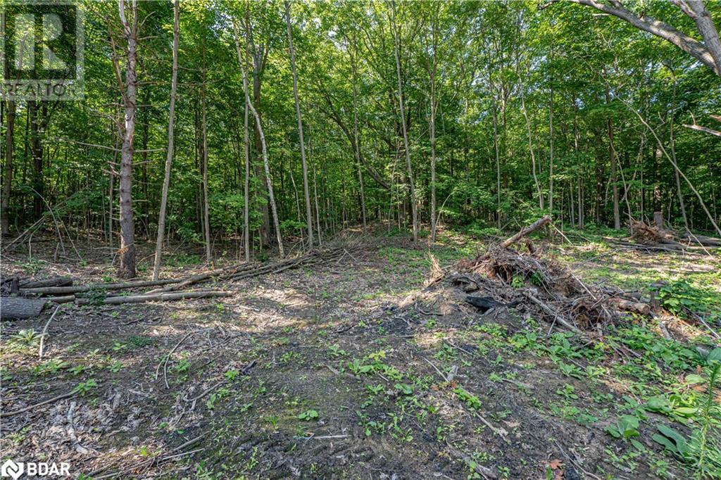 Photo 27 of 8294 County Rd 27, Barrie ON