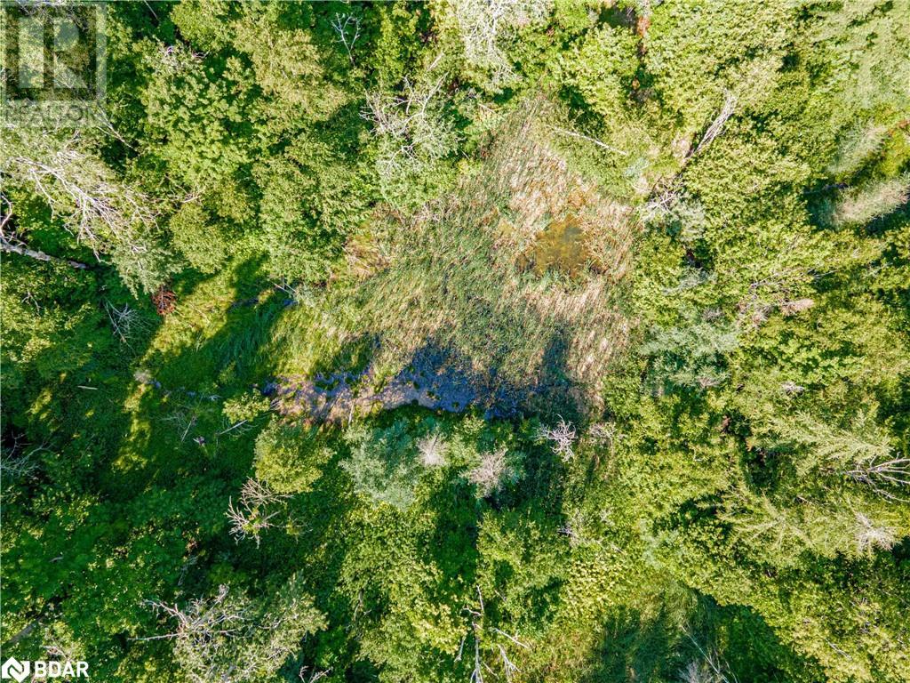 Photo 4 of 8294 County Rd 27, Barrie ON