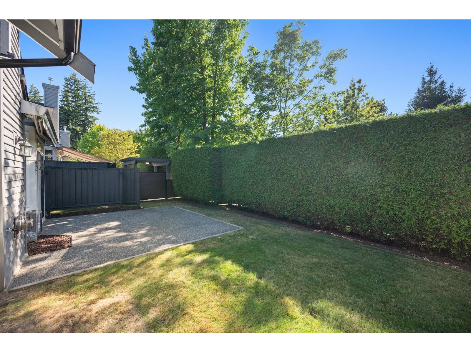 Photo 36 of 71 14909 32 Avenue, Surrey BC