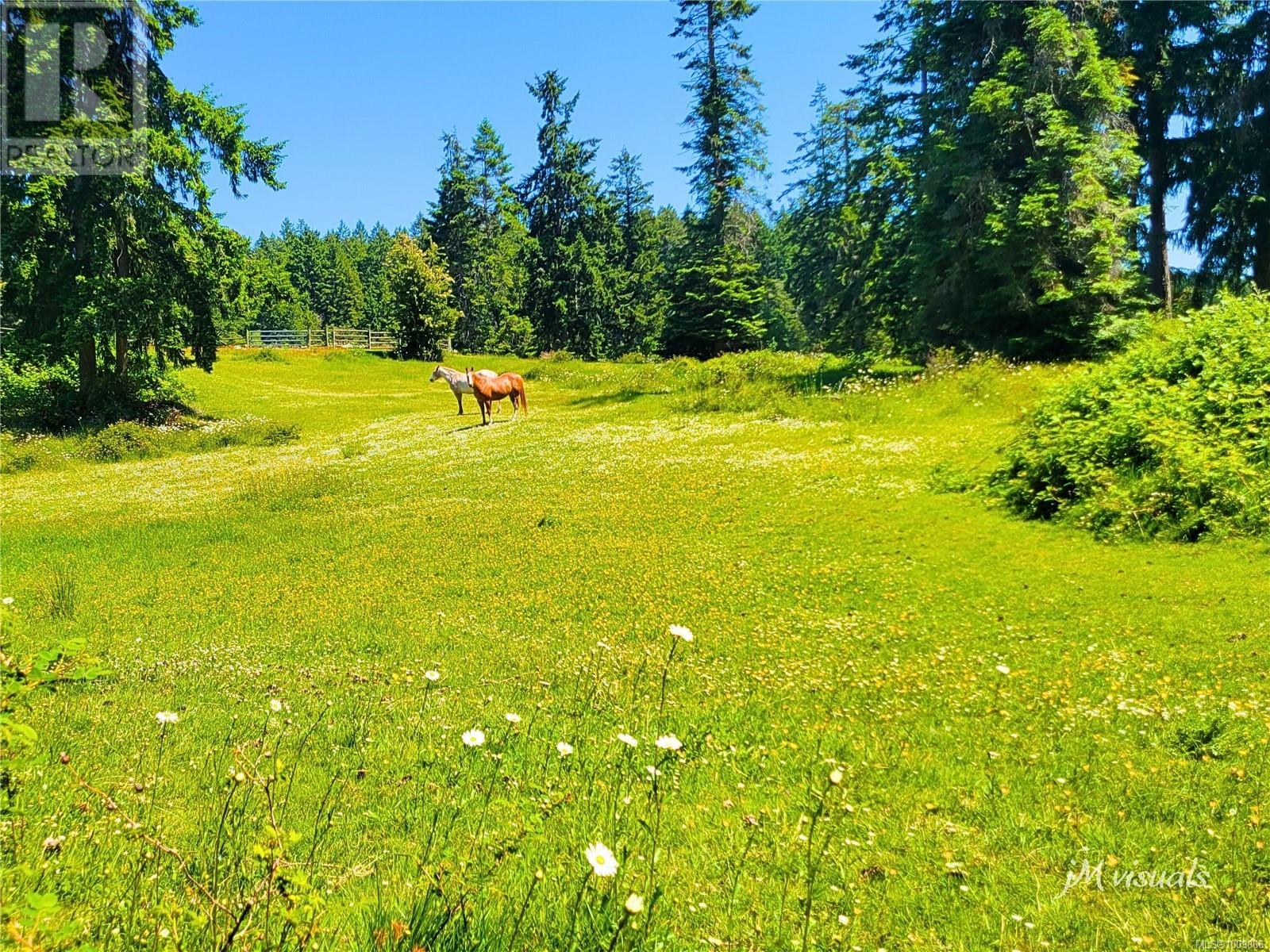 Photo 86 of 2551 Braun Rd, Nanaimo BC