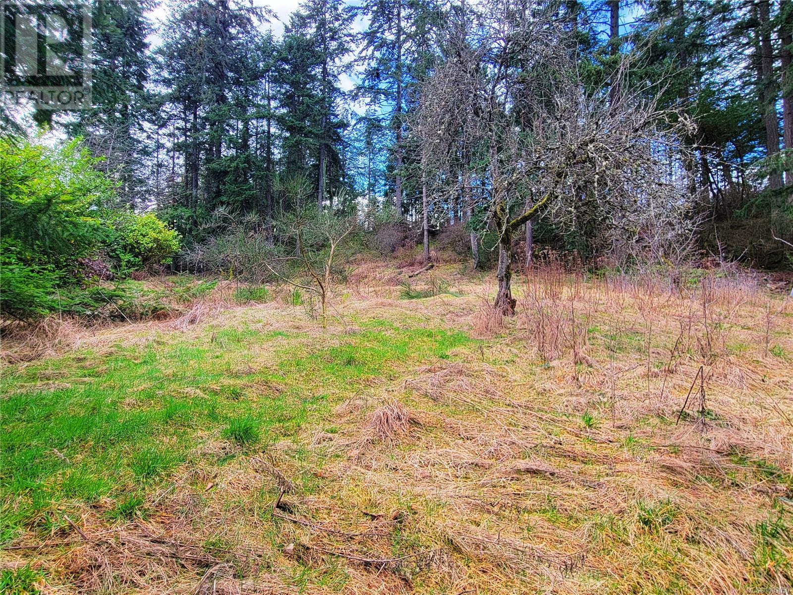 Photo 6 of 1015 Park Ave, Nanaimo BC