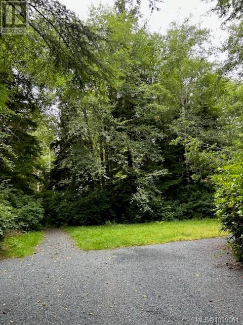 1208 Lynn Rd, Tofino