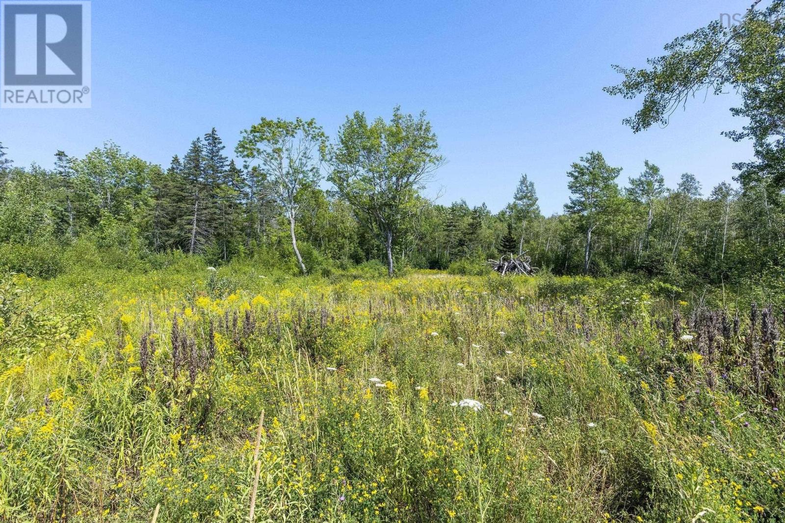 Property 39 of 41 of Lot 1 Haul Road