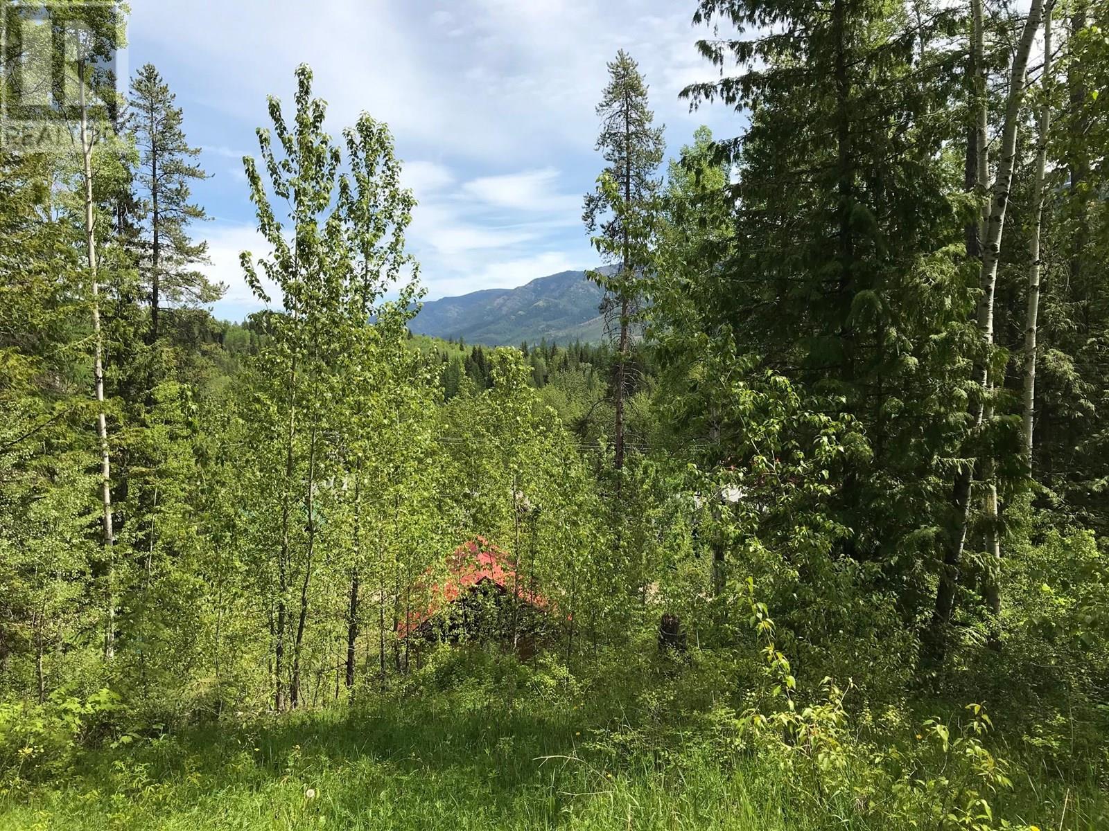 #LOT 16 9 ALPINE TRAIL PLACE - 7