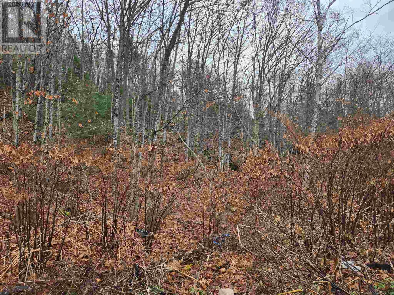 Photo 6 of 1300 Old Goulais Bay Rd, Sault Ste Marie ON