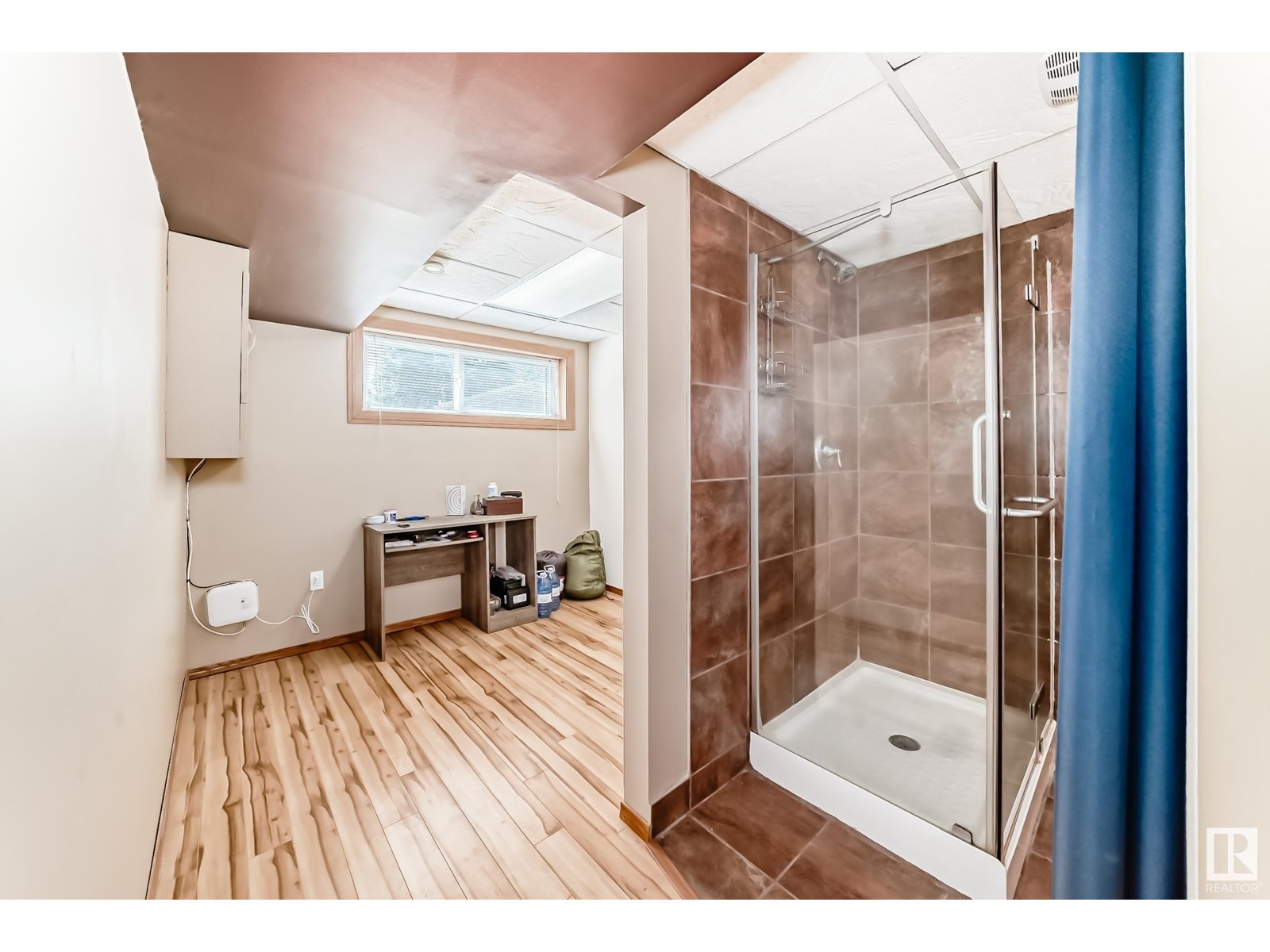 Photo 43 of 10511 128 A Av Nw, Edmonton AB