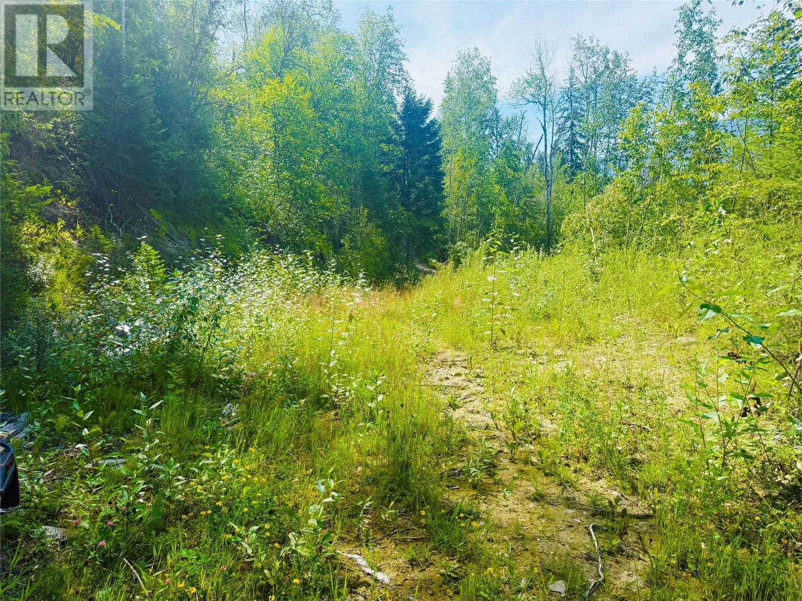 2538 95 Highway, Brisco
