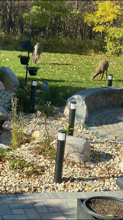 Photo 50 of 14 Bridgetown Drive, Winnipeg MB