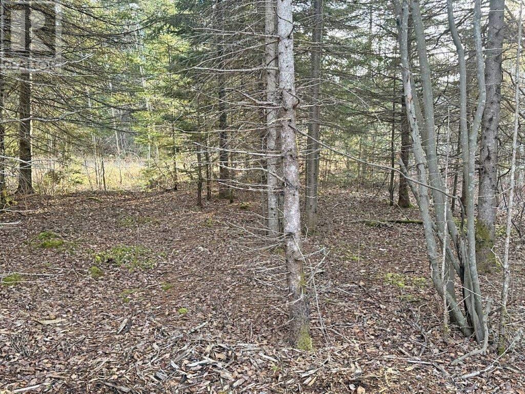 Photo 4 of 115 Golf Course Road, Nipigon ON