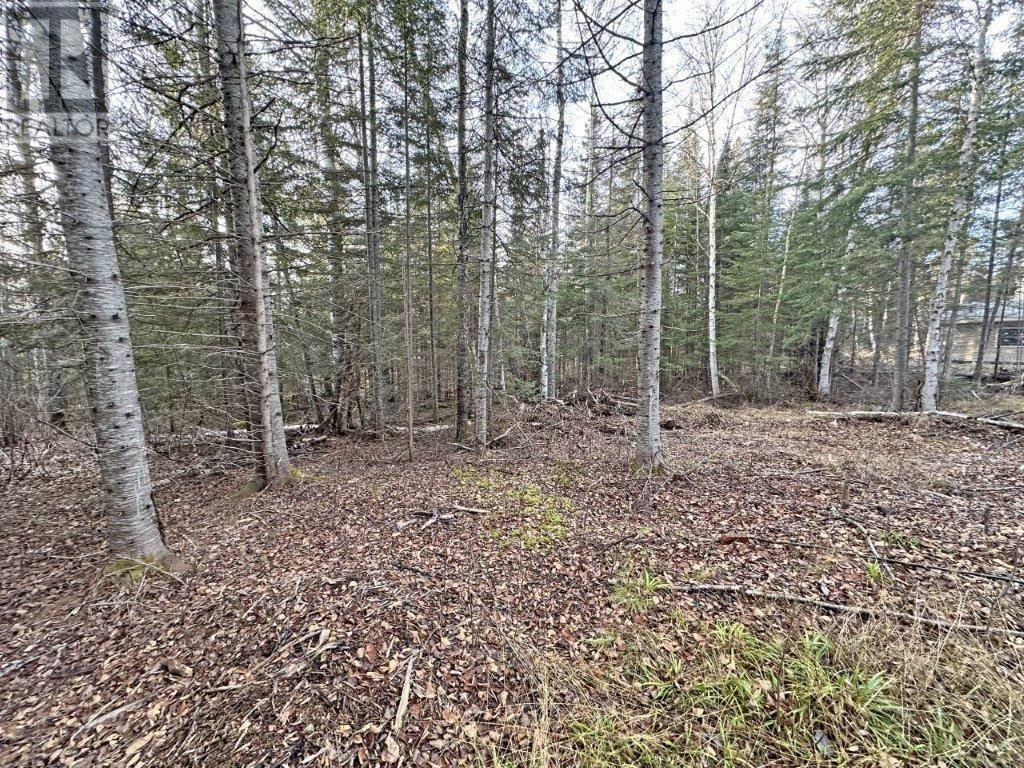 Photo 28 of 115 Golf Course Road, Nipigon ON