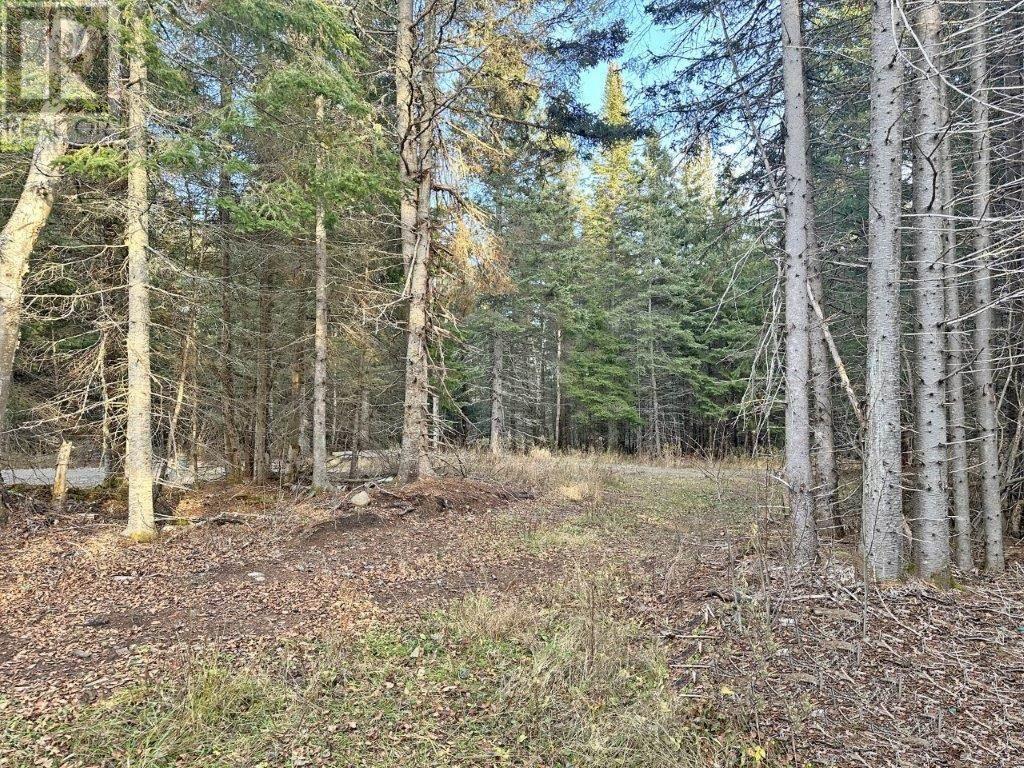 Photo 39 of 115 Golf Course Road, Nipigon ON