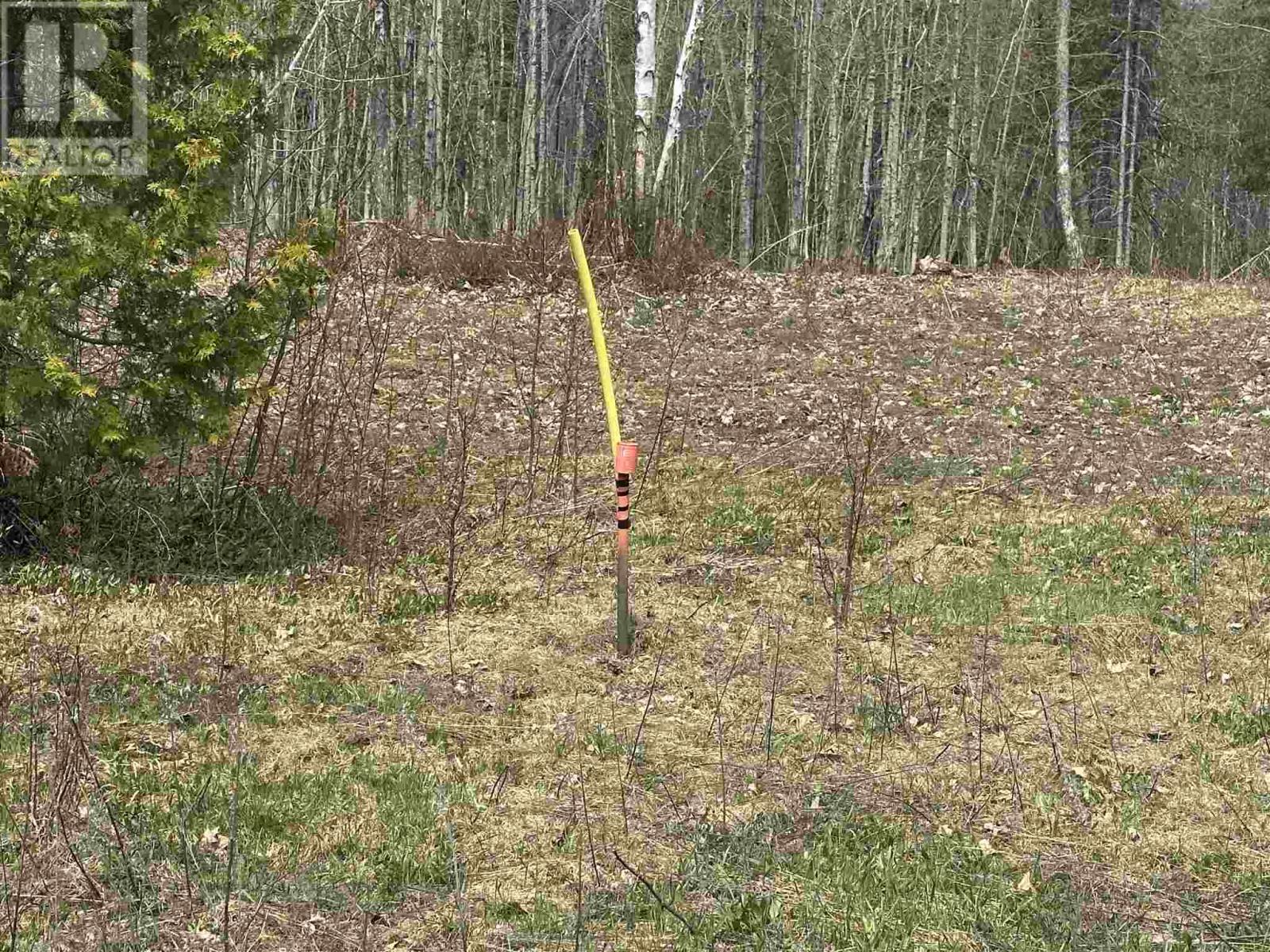 Photo 18 of 4202 5th Side Rd, Jocelyn Township ON