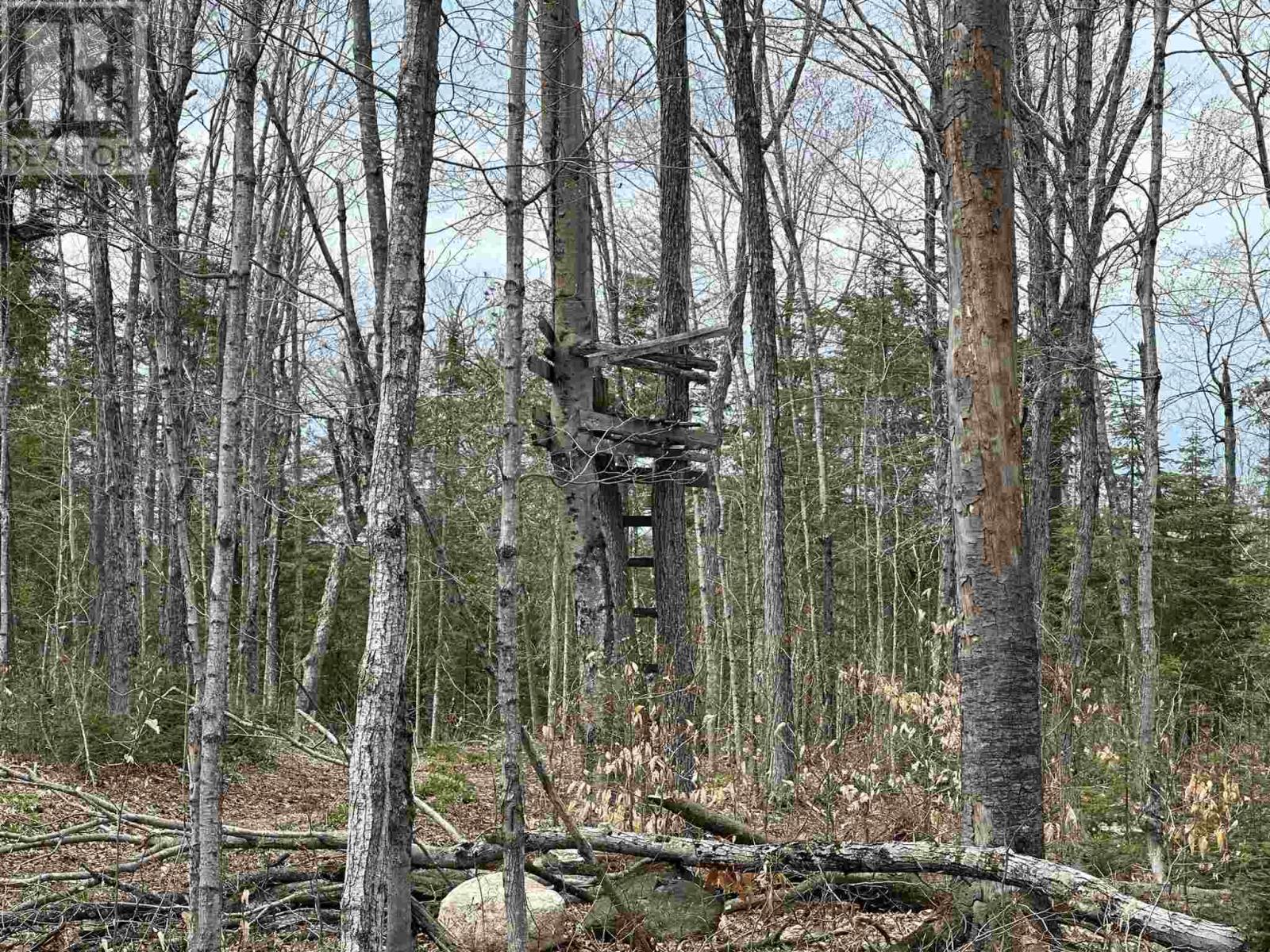 Photo 30 of 4202 5th Side Rd, Jocelyn Township ON