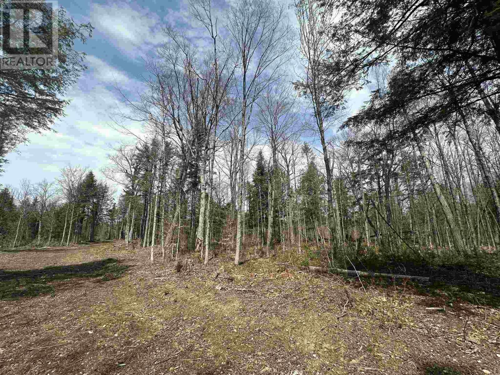Photo 27 of 4202 5th Side Rd, Jocelyn Township ON