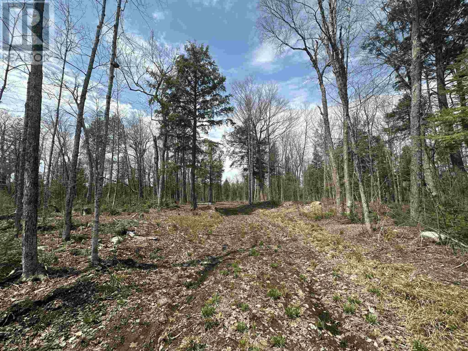Photo 25 of 4202 5th Side Rd, Jocelyn Township ON