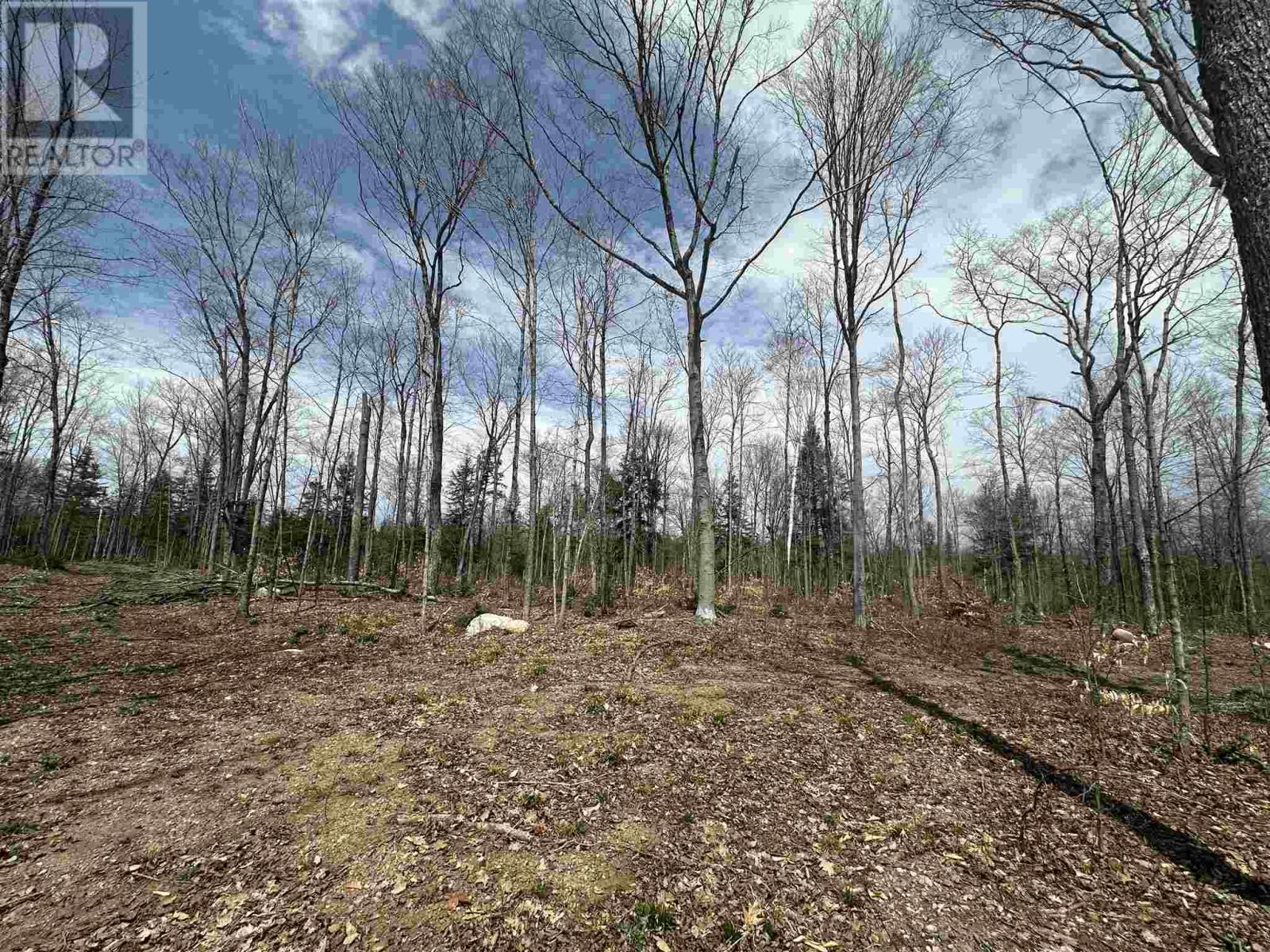 Photo 22 of 4202 5th Side Rd, Jocelyn Township ON