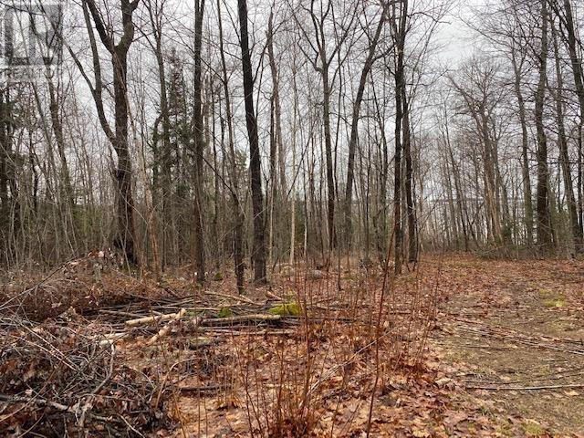 Photo 3 of 1601 Mississaugi Bay Rd, Huron Shores ON