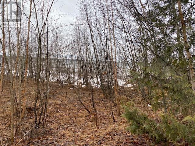 Photo 4 of 1601 Mississaugi Bay Rd, Huron Shores ON