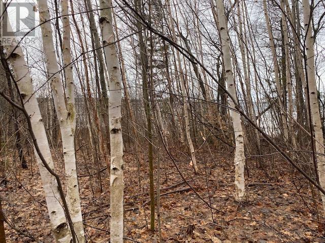 Photo 1 of 1601 Mississaugi Bay Rd, Huron Shores ON