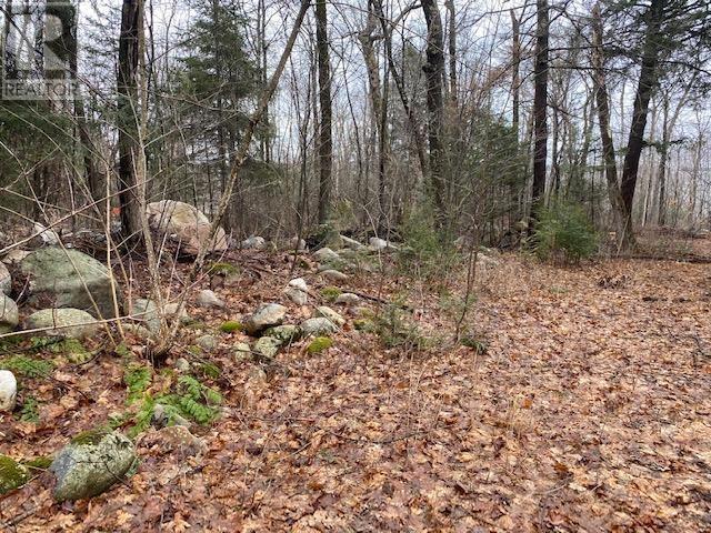 Photo 2 of 1601 Mississaugi Bay Rd, Huron Shores ON