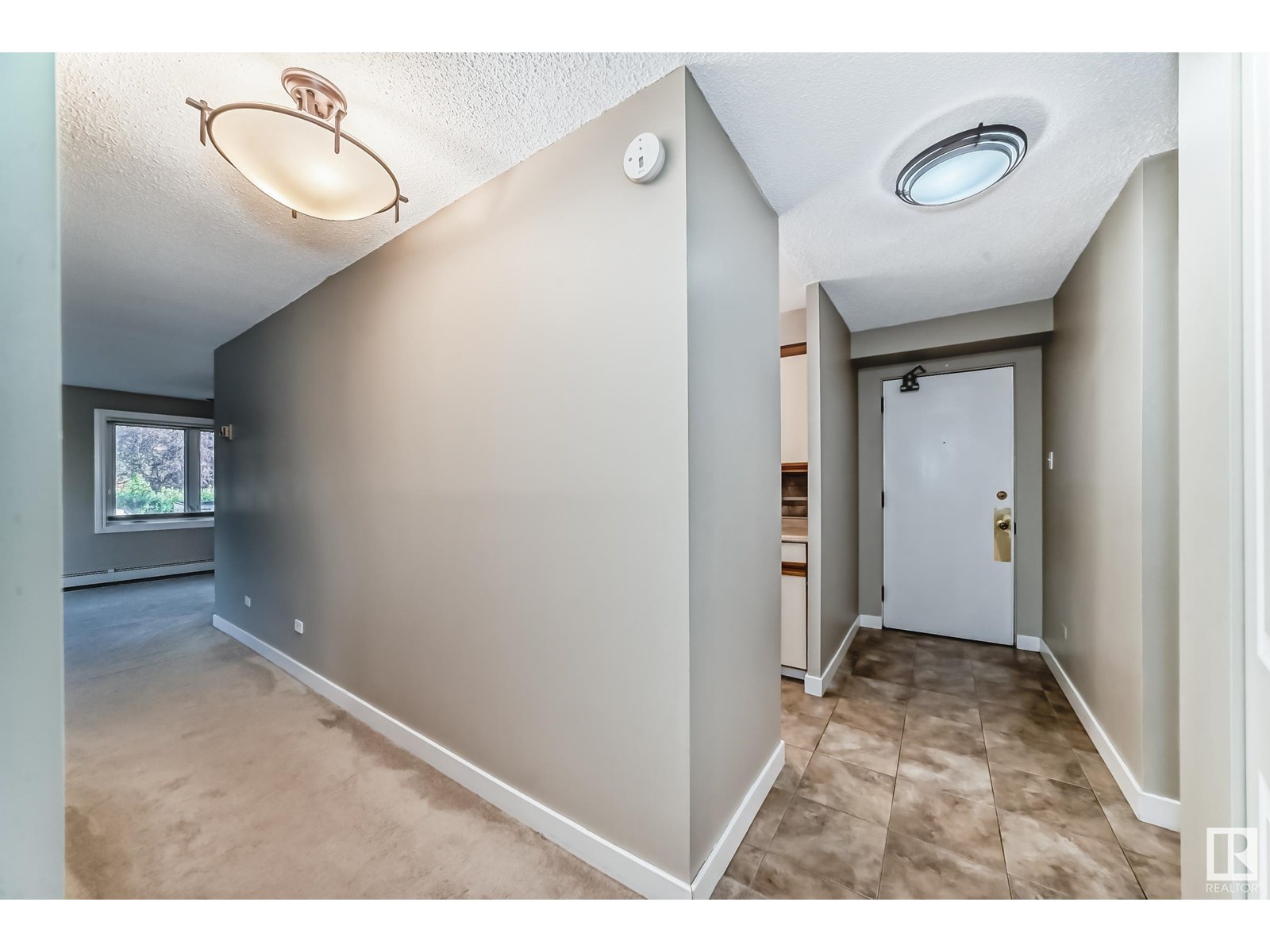 Photo 52 of 101 9737 112 St Nw, Edmonton AB