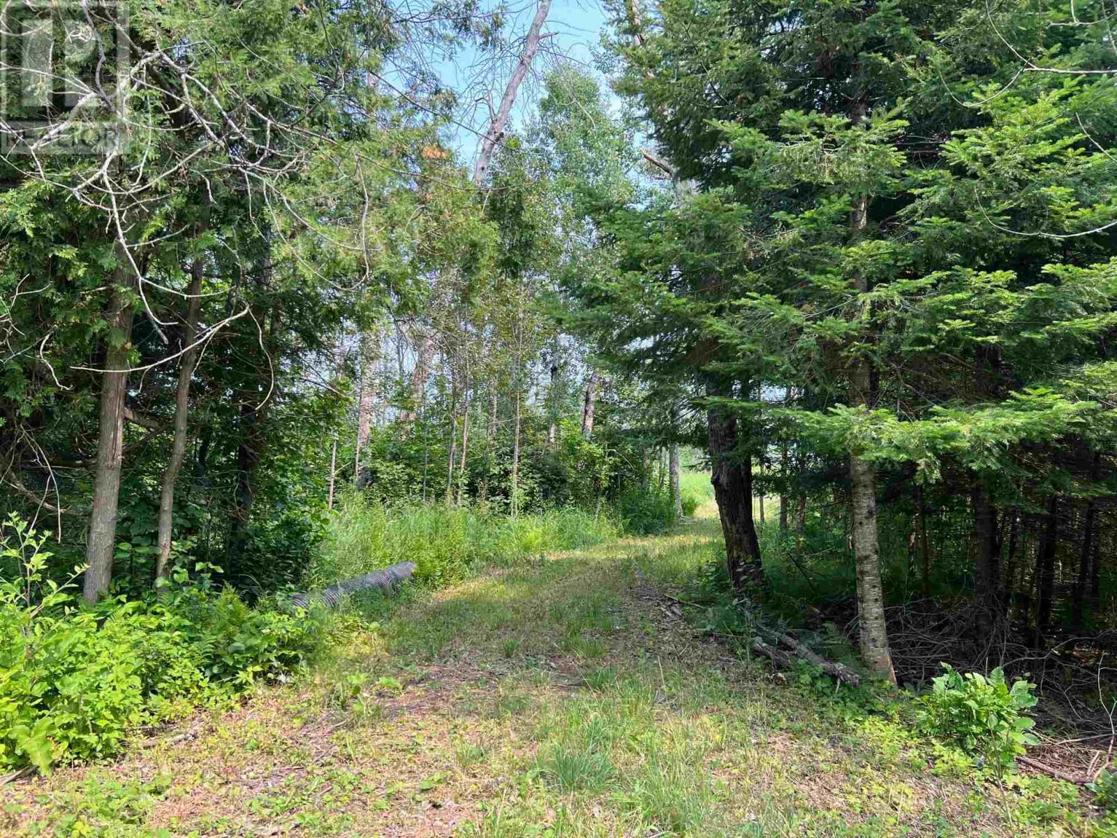 Photo 22 of Part 3 Nelson Dr, St Joseph Island ON
