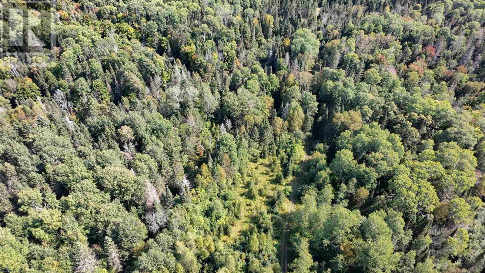 Photo 30 of Pt Sec 37 38 Off Pickard Rd, Havilland ON