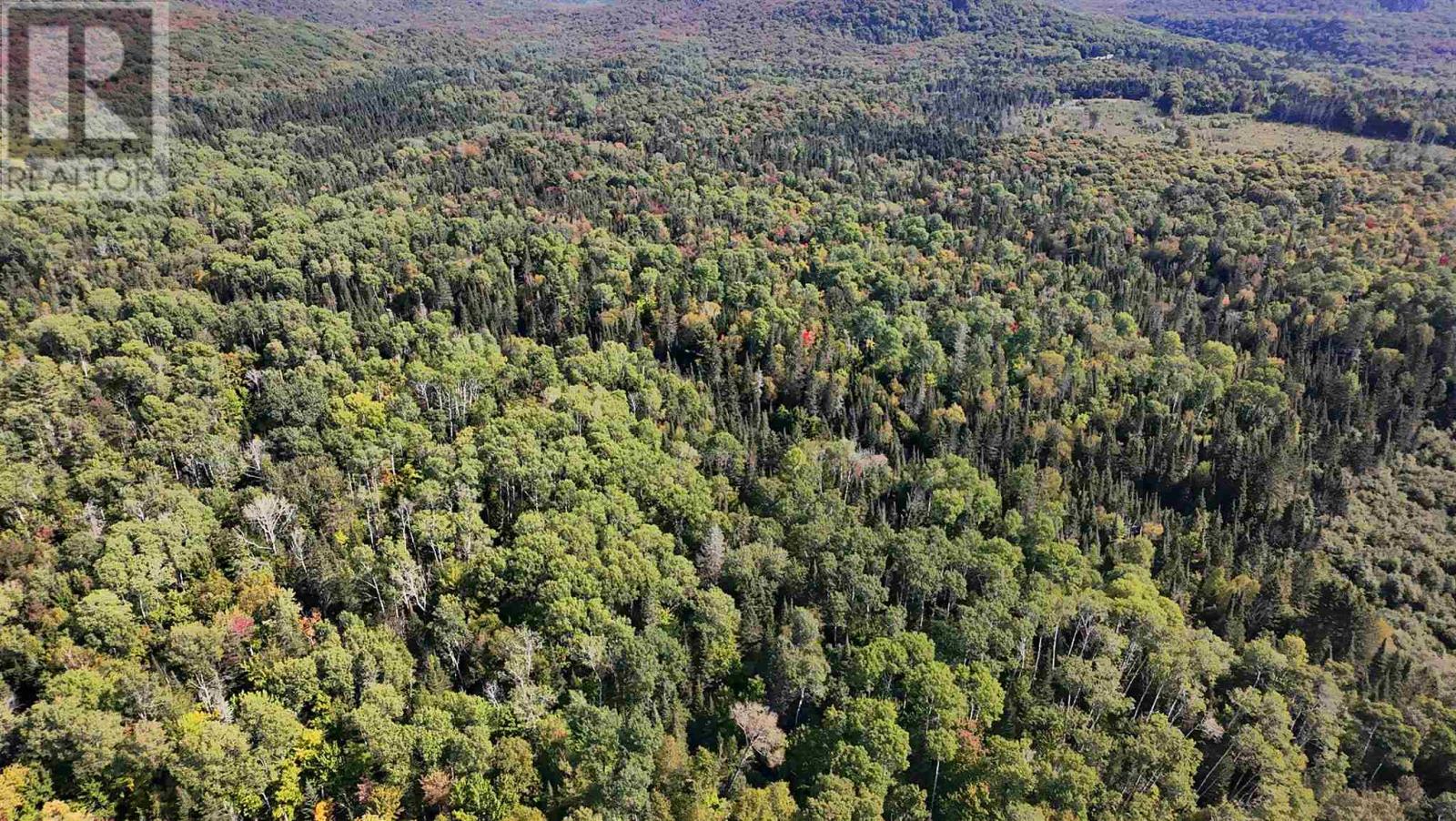 Photo 18 of Pt Sec 37 38 Off Pickard Rd, Havilland ON