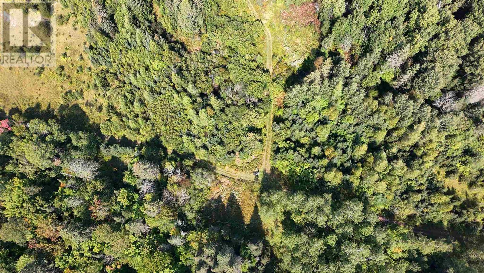 Photo 29 of Pt Sec 37 38 Off Pickard Rd, Havilland ON