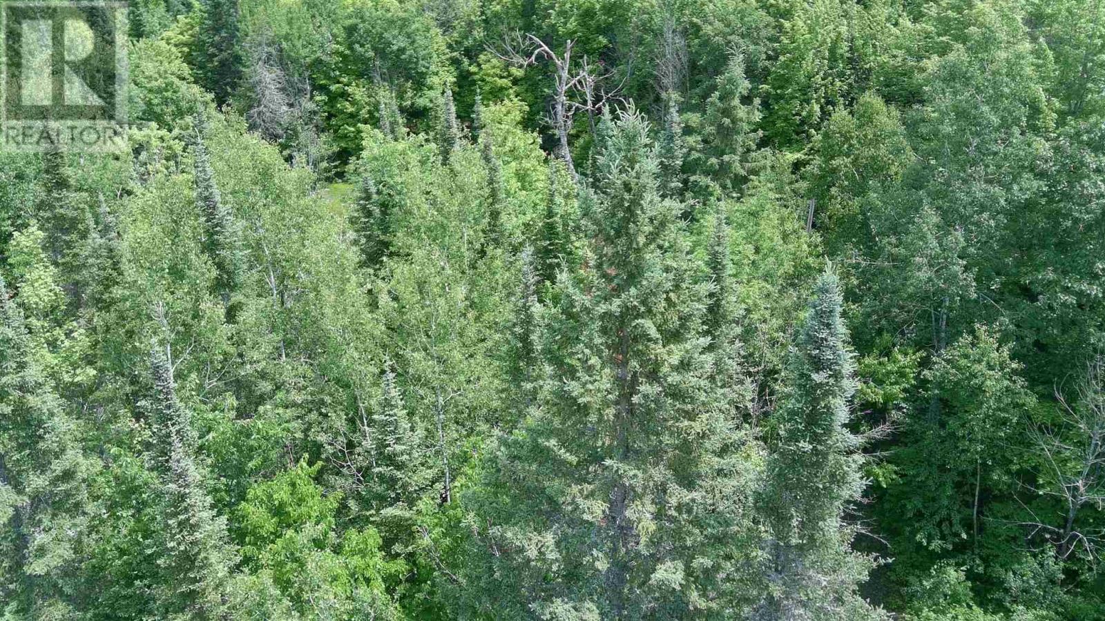 Photo 31 of 1288 Government Rd, Echo Bay ON