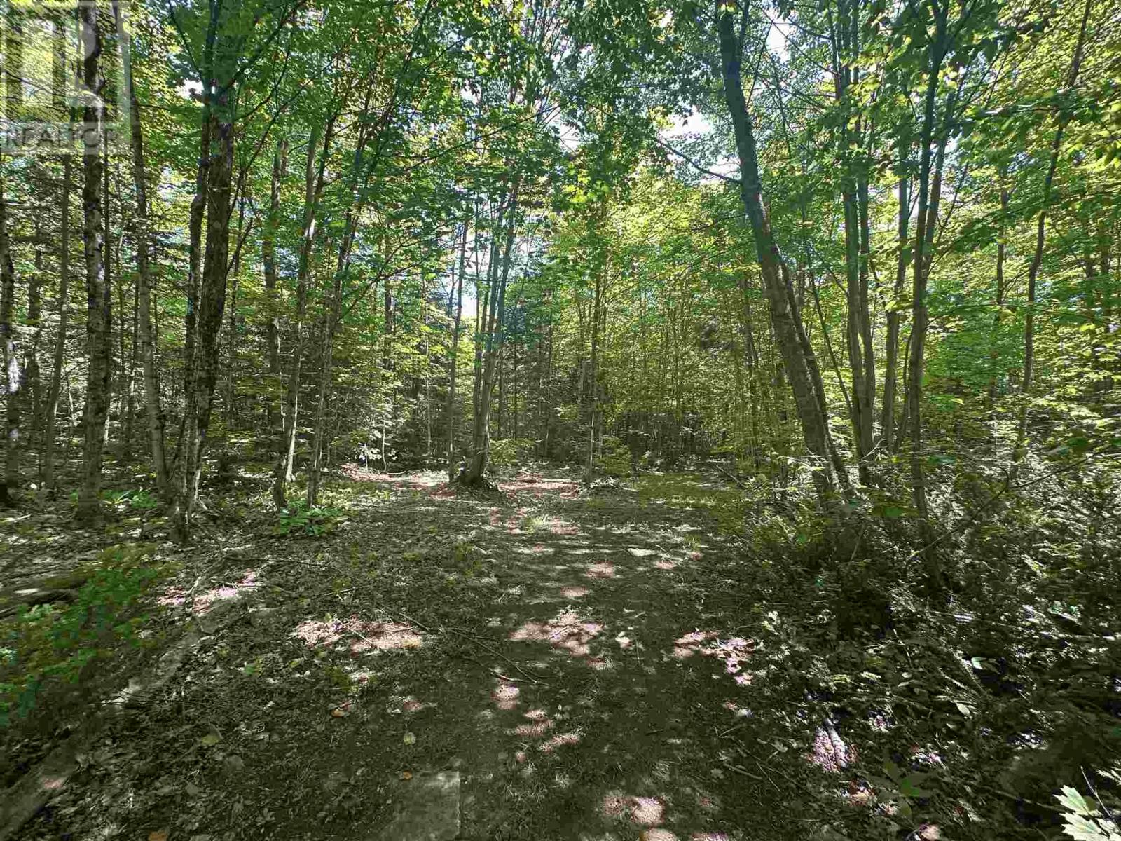 Photo 18 of 1288 Government Rd, Echo Bay ON