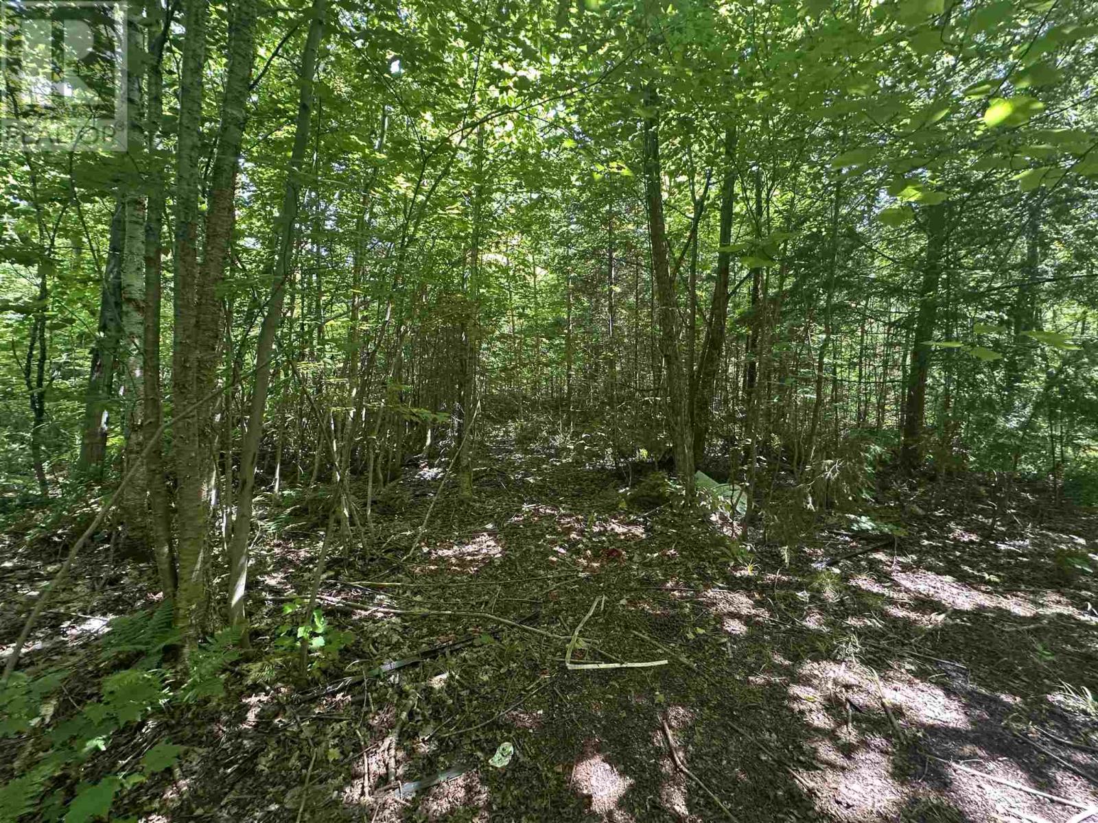 Photo 21 of 1288 Government Rd, Echo Bay ON