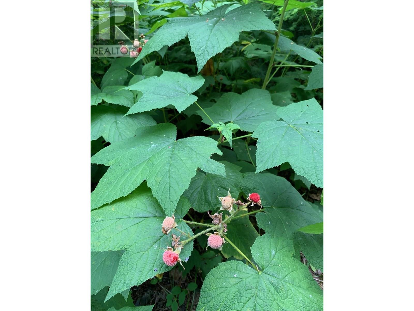  65 Huckleberry Drive, Sorrento