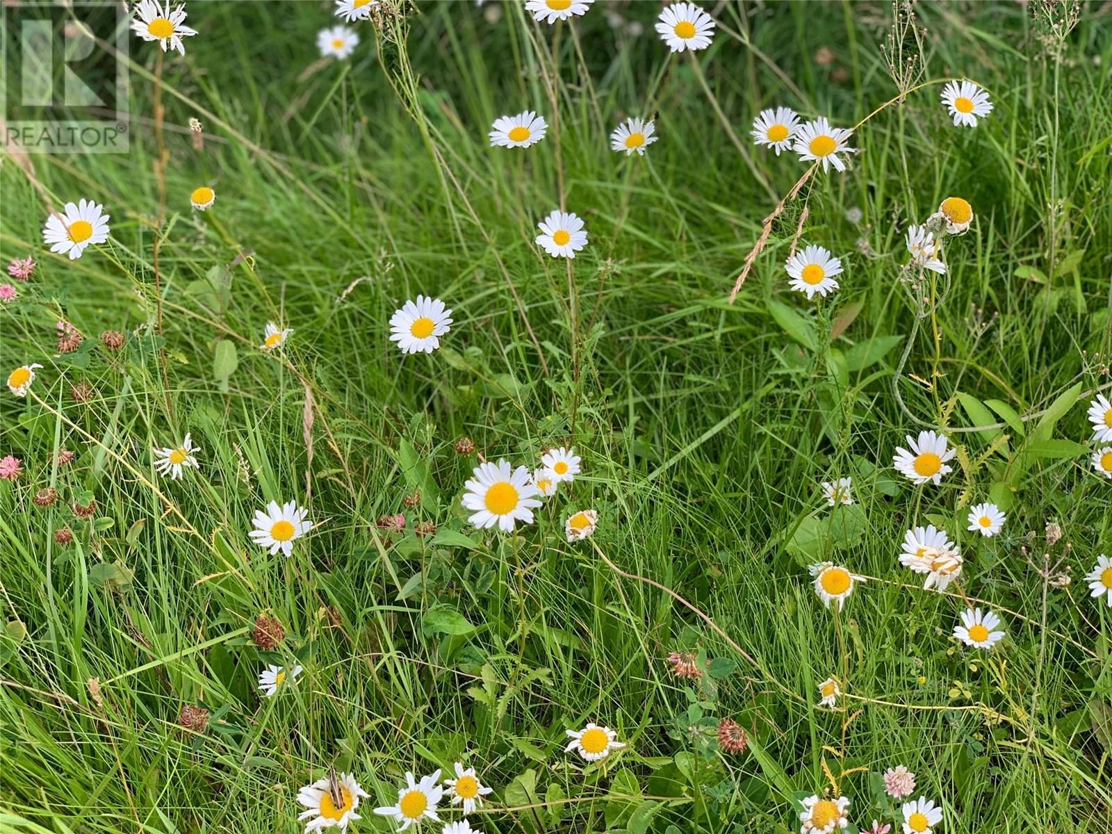  65 Huckleberry Drive, Sorrento