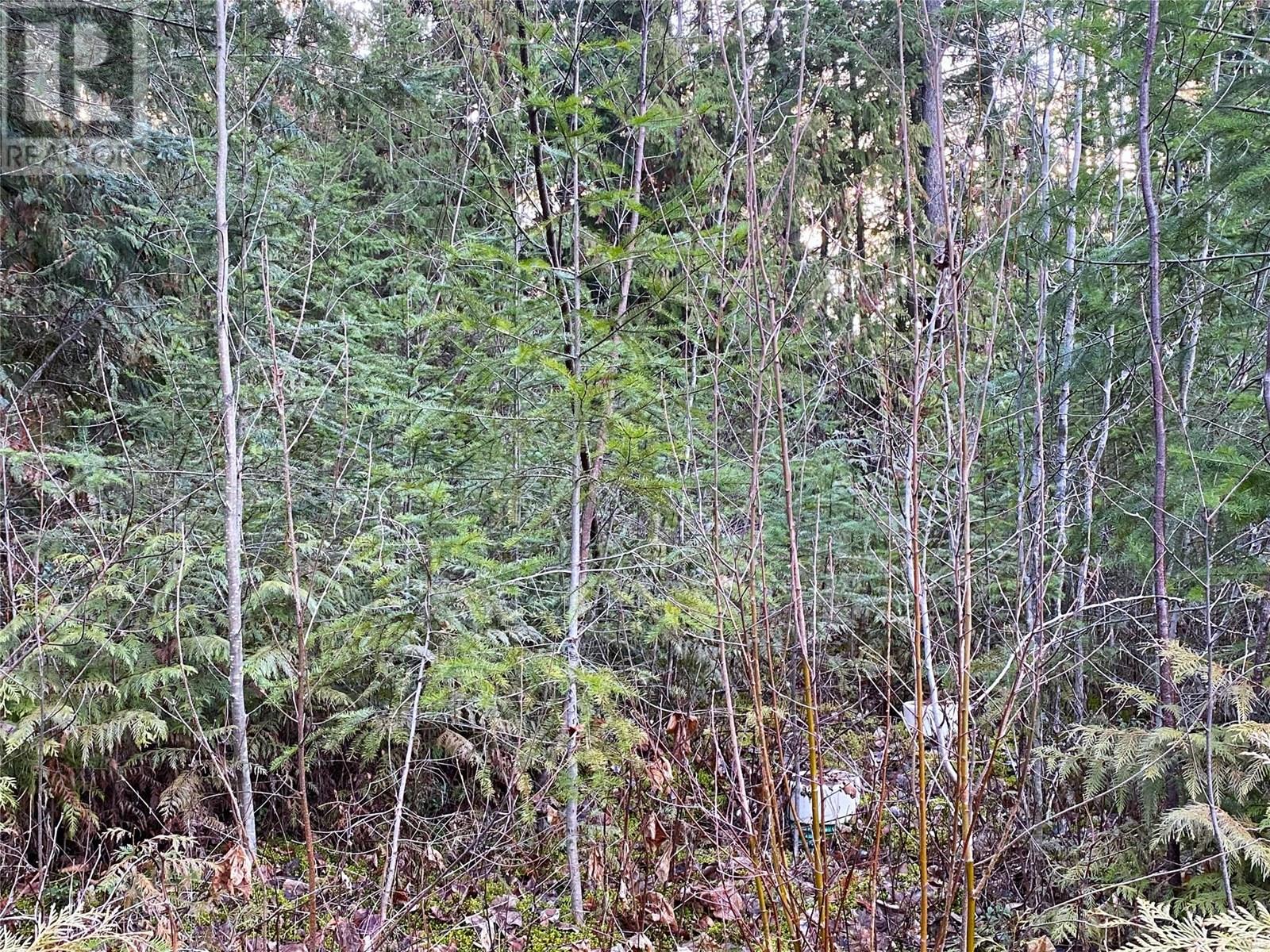 Photo 7 of 2807 Evergreen Place, Blind Bay BC