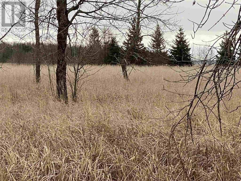 Photo 11 of Lot 2 3 Con Nelson Dr, St Joseph Island ON