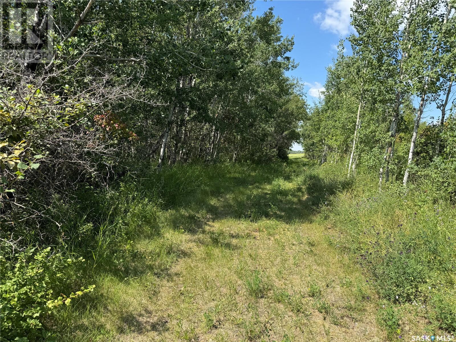Photo 33 of Mchenry Acreage, Three Lakes Rm No 400 SK