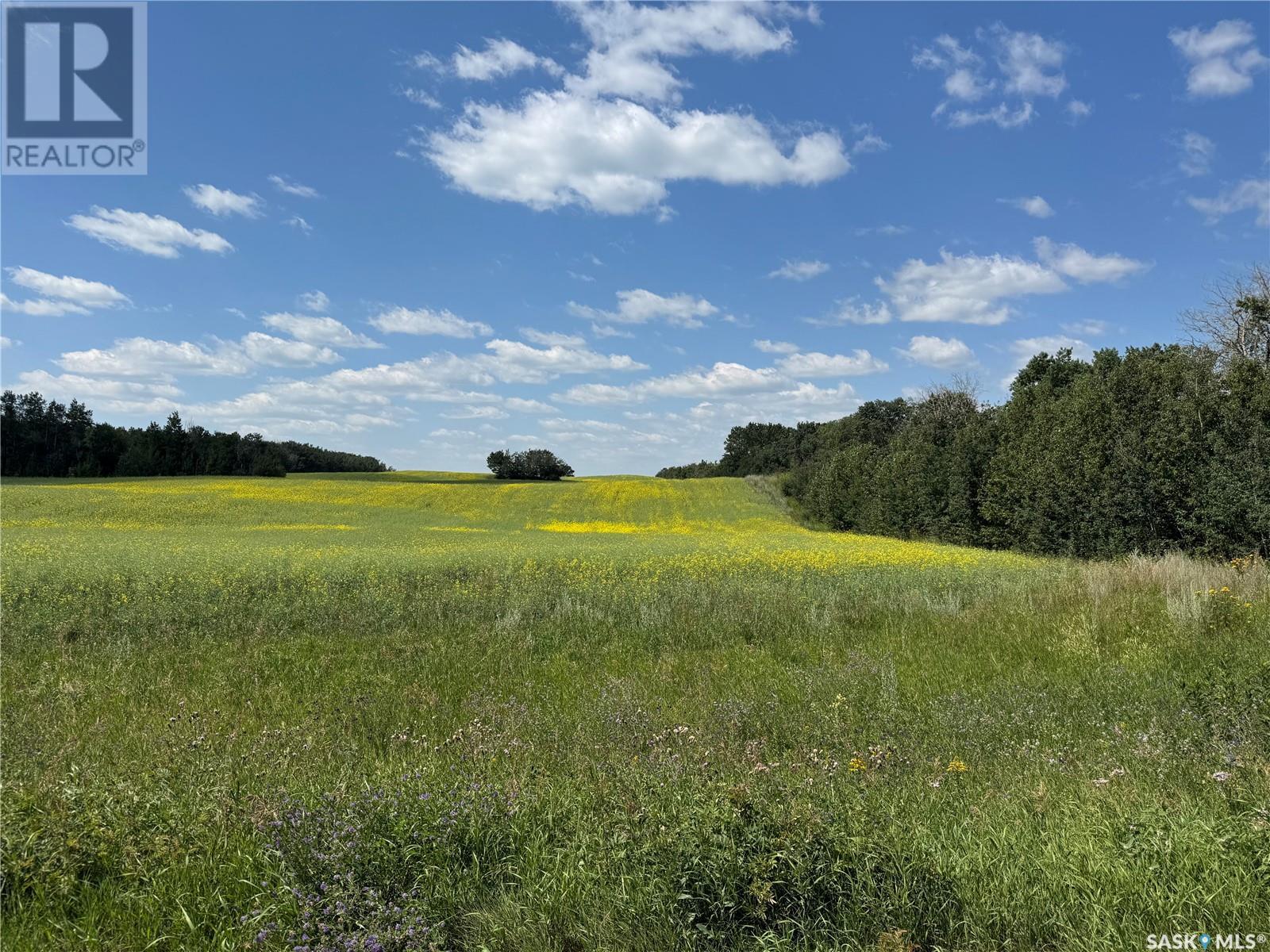 Photo 42 of Mchenry Acreage, Three Lakes Rm No 400 SK