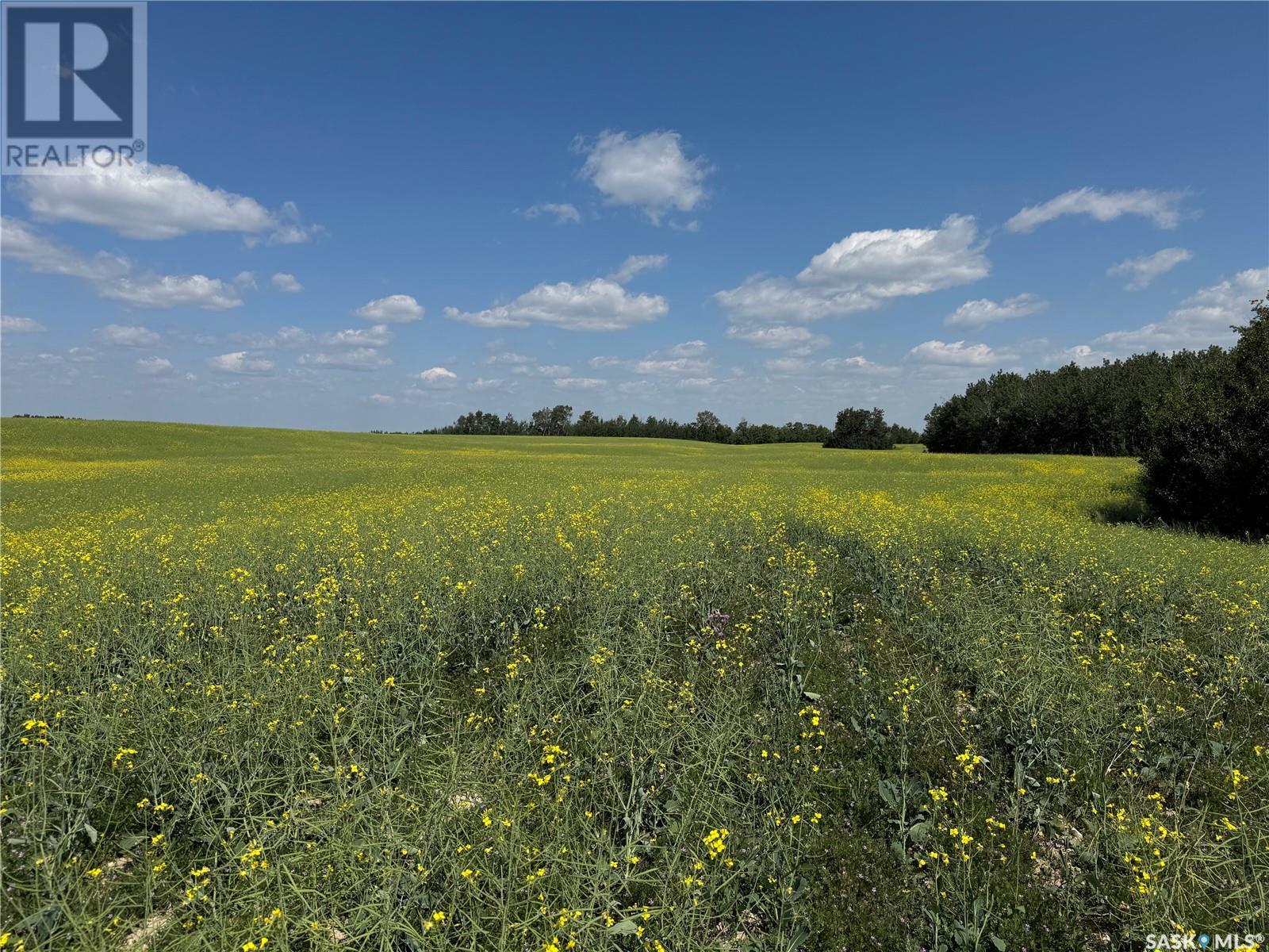 Photo 38 of Mchenry Acreage, Three Lakes Rm No 400 SK
