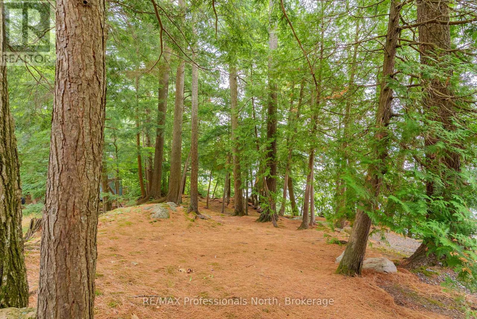 Photo 21 of 1077 Precambrian Drive N, Algonquin Highlands ON