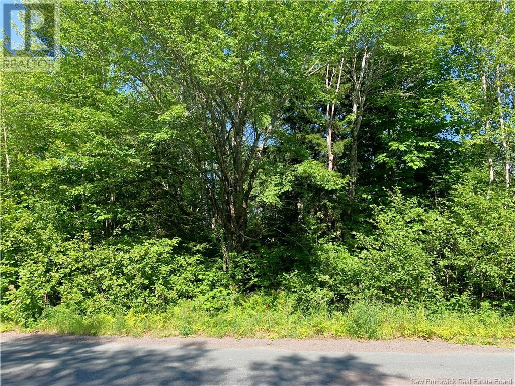 Photo 1 of Lot 23 2 Aboujagane Road, Memramcook NB
