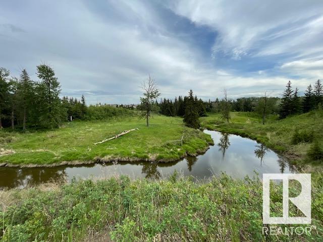 Photo 70 of 193 Callaghan Dr Sw, Edmonton AB