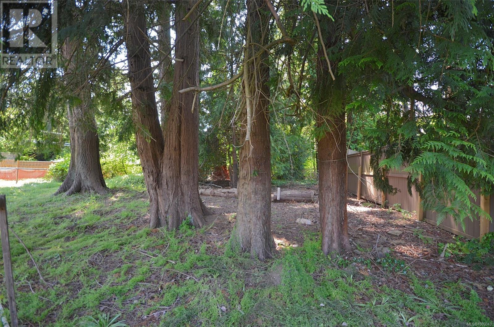 Photo 20 of 5225 Santa Clara Ave, Saanich BC