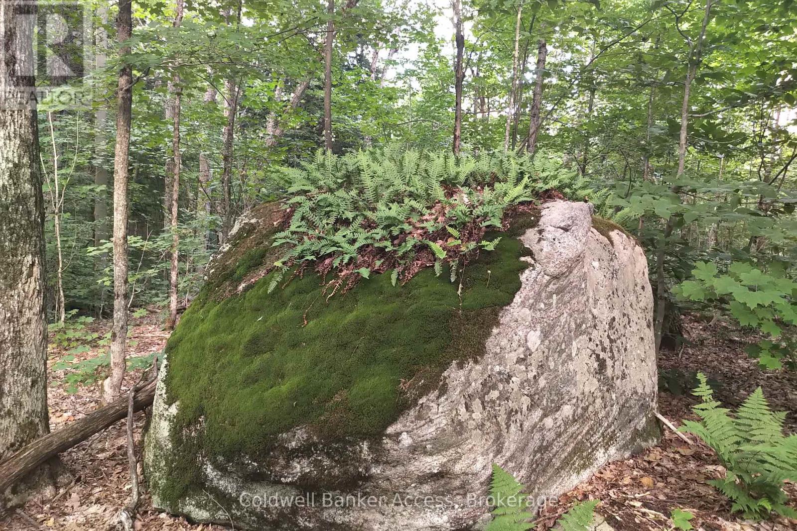 Photo 8 of 00 Dudley Road, Muskoka Lakes ON
