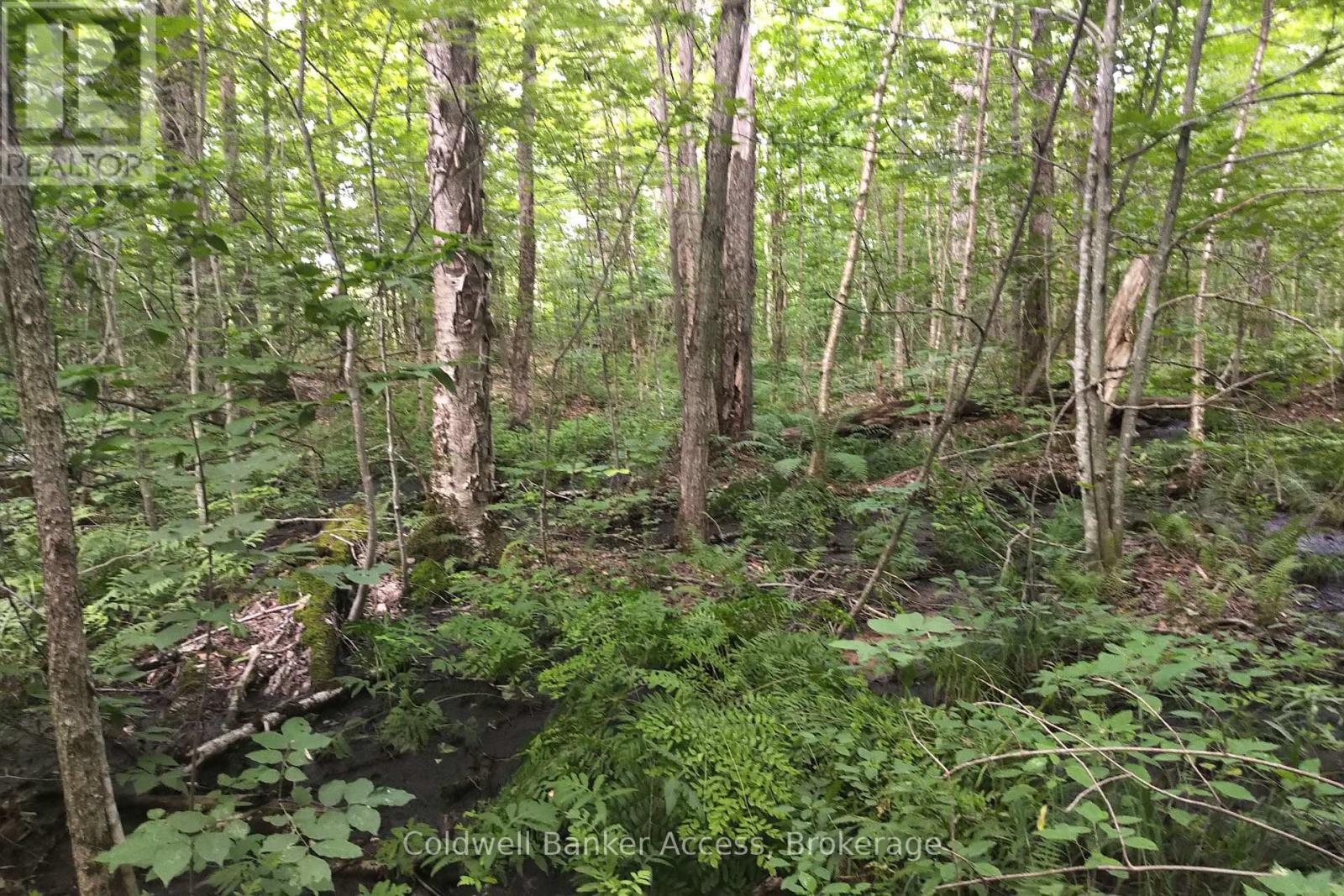 Photo 9 of 00 Dudley Road, Muskoka Lakes ON