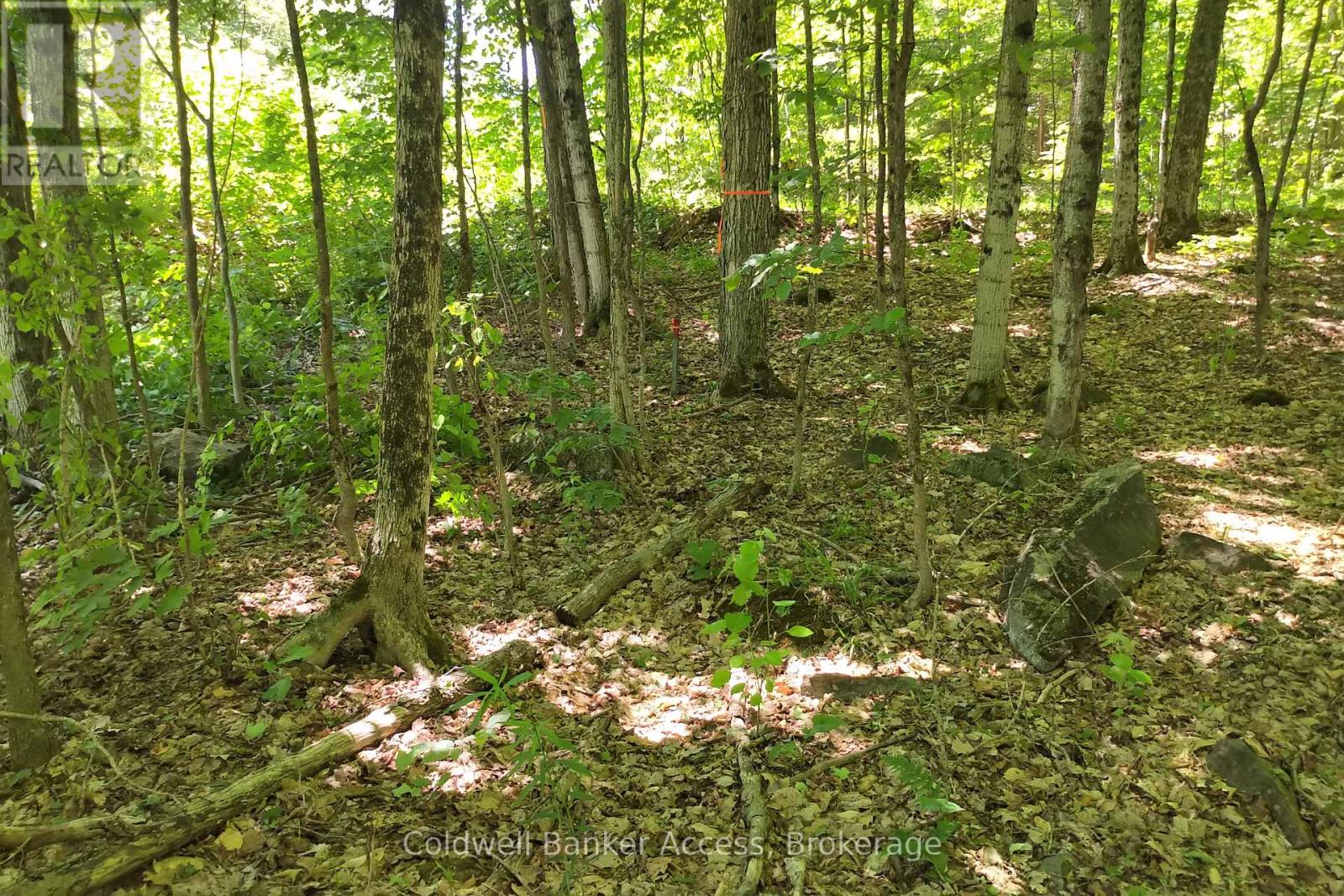 Photo 6 of 00 Dudley Road, Muskoka Lakes ON