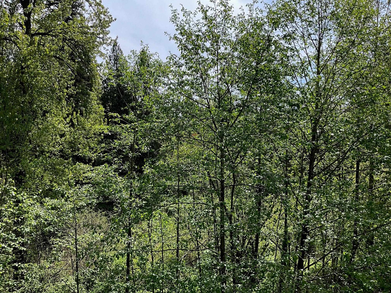 Photo 38 of 309 33318 E Bourquin Crescent, Abbotsford BC