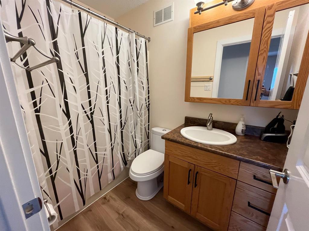 Photo 10 of 251 St Alphonse Avenue, Ste Anne MB